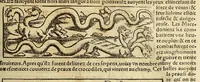 Picture 36 of 38 from La cosmographie vniuerselle, contenant la situation de toutes les parties du monde, auec leurs proprietez & appartenances. : La description des pays & regions diceluy ... (1568), leaf 1373