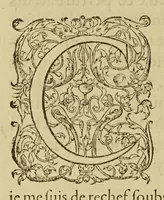 An illustration from La cosmographie vniuerselle (1575)