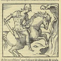 Picture 14 of 62 from La cosmographie vniuerselle de tout le monde. : En laquelle, suiuant les auteurs plus dignes de foy, sont au vray descriptes toutes les parties habitables, & non habitables de la terre, & de la mer, leurs assiettes & choses qu'elles produisent ... auec plusieurs autres choses, le sommaire desquelles se void en la page suiuante. (1575), leaf 206