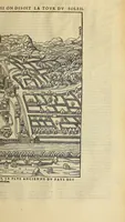 Picture 25 of 62 from La cosmographie vniuerselle de tout le monde. : En laquelle, suiuant les auteurs plus dignes de foy, sont au vray descriptes toutes les parties habitables, & non habitables de la terre, & de la mer, leurs assiettes & choses qu'elles produisent ... auec plusieurs autres choses, le sommaire desquelles se void en la page suiuante. (1575), leaf 347