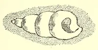 An illustration from La céramique italienne; marques et monogrammes (1884)