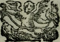 Picture 73 of 73 from La croce racquistata : poema heroico (1611), leaf 317