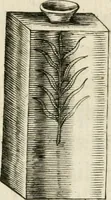 Picture 5 of 6 from Lacrymae prisco ritu fusae in exsequiis sereniss. archiducis Alberti pii Belgicae Sequanticiq. principis (1622), leaf 14