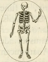 An illustration from Lacrymae prisco ritu fusae in exsequiis sereniss. archiducis Alberti pii Belgicae Sequanticiq. principis (1622)