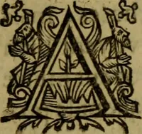 An illustration from La curiosité naturelle, redigee en questions selon l'ordre alphabetique : a roven (1631)