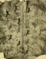 An illustration from La décoration primitive; Amérique post-Colombienne (1922)