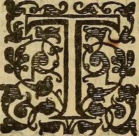 An illustration from La densivm AUTOKATAKRISIS : the Canterburians self-conviction ... : with a postscript for the personat Jesuite Lysimachus Nicanor (1641)