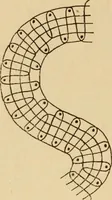 An illustration from La dentelle aux fuseaux (1921)