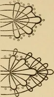 Picture 41 of 64 from La dentelle aux fuseaux (1921), leaf 79