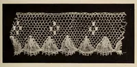 An illustration from La dentelle et la broderie sur tulle (1902)