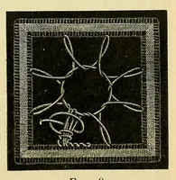 An illustration from La dentelle renaissance (1920)