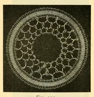 An illustration from La dentelle renaissance (1920)