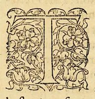 An illustration from La description geographique des provinces & villes plus fameuses de l'Indie Orientale, ... (1556)