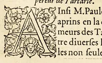 An illustration from La description geographique des provinces & villes plus fameuses de l'Indie Orientale, ... (1556)
