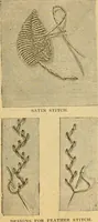 An illustration from Ladies' book of fancy work and instructions for stamping (1884)