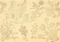 An illustration from Ladies' book of fancy work and instructions for stamping (1884)