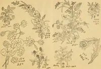 An illustration from Ladies' book of fancy work and instructions for stamping (1884)