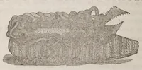Picture 13 of 13 from The ladies complete guide to needle-work and embroidery : containing clear and practical instructions whereby any one can learn easily.../ (1859), leaf 346