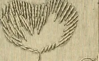 An illustration from Ladies' fancy work .. (1885)