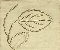 An illustration from Ladies' fancy work .. (1885)