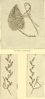 An illustration from Ladies' fancy work .. (1885)