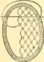 An illustration from Ladies' fancy work .. (1885)