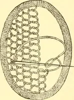 An illustration from Ladies' fancy work .. (1885)