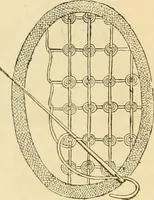An illustration from Ladies' fancy work .. (1885)