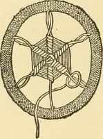 An illustration from Ladies' fancy work .. (1885)