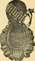 An illustration from Ladies' fancy work .. (1885)