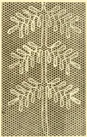 An illustration from Ladies' fancy work .. (1885)