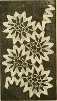 An illustration from Ladies' fancy work .. (1885)
