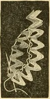 An illustration from Ladies' fancy work .. (1885)