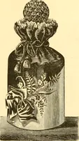An illustration from Ladies' fancy work .. (1885)