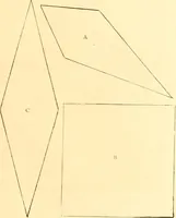 An illustration from Ladies' fancy work .. (1885)