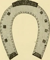 An illustration from Ladies' fancy work .. (1885)