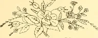 An illustration from Ladies' fancy work .. (1885)