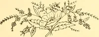 An illustration from Ladies' fancy work .. (1885)