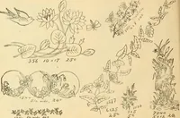 An illustration from Ladies' fancy work .. (1885)