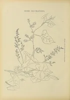 An illustration from The ladies' floral cabinet (1871)