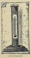 An illustration from The ladies' floral cabinet (1871)