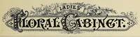 An illustration from The ladies' floral cabinet (1871)