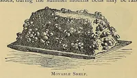 An illustration from The ladies' floral cabinet (1871)