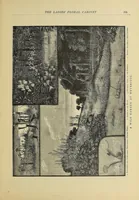 Picture 15 of 16 from The ladies' floral cabinet (1871), leaf 333