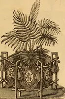 An illustration from The ladies' guide to needle work, embroidery, etc ... : being a complete guide to all kinds of ladies' fancy work (1877)
