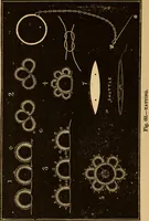 Picture 38 of 94 from The ladies' guide to needle work, embroidery, etc ... : being a complete guide to all kinds of ladies' fancy work (1877), leaf 69