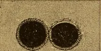 Picture 1 of 94 from The ladies' guide to needle work, embroidery, etc ... : being a complete guide to all kinds of ladies' fancy work (1877), leaf 9