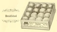 An illustration from The ladies' guide to elegant lace patterns, etc (1884)