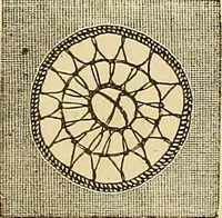 An illustration from The ladies' guide to needle work, embroidery, etc. : being a complete guide to all kinds of ladies' fancy work (1877)