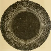 An illustration from The ladies' guide to needle work, embroidery, etc. : being a complete guide to all kinds of ladies' fancy work (1877)